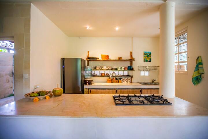 The kitchen island and gas hob