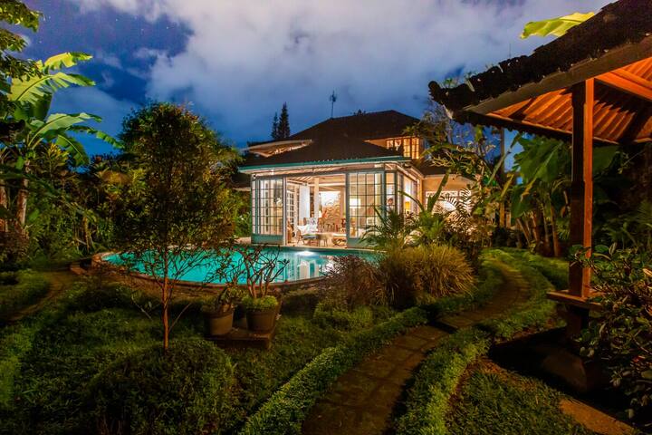 The pool and terraced garden at dusk