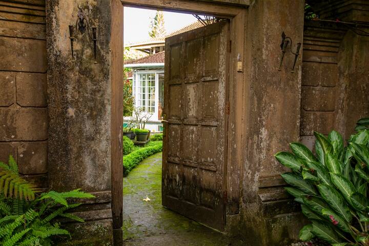 The old timber gate standing open to the garden