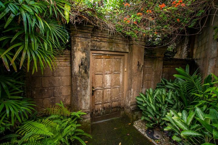 A weathered garden door framed by ferns